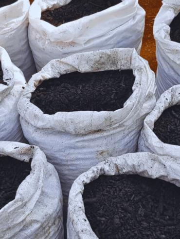 Die Biokohle ist bereit, in den Boden eingemischt zu werden.