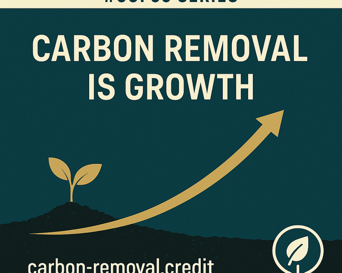 Tag 12 – COP30-Serie