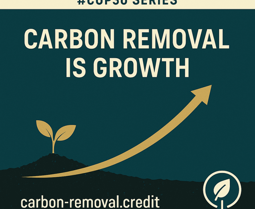 Tag 12 – COP30-Serie