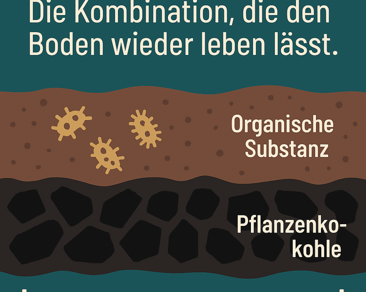 Tag 26 – COP30-Serie