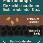 Pflanzenkohle + Mikrobiologie