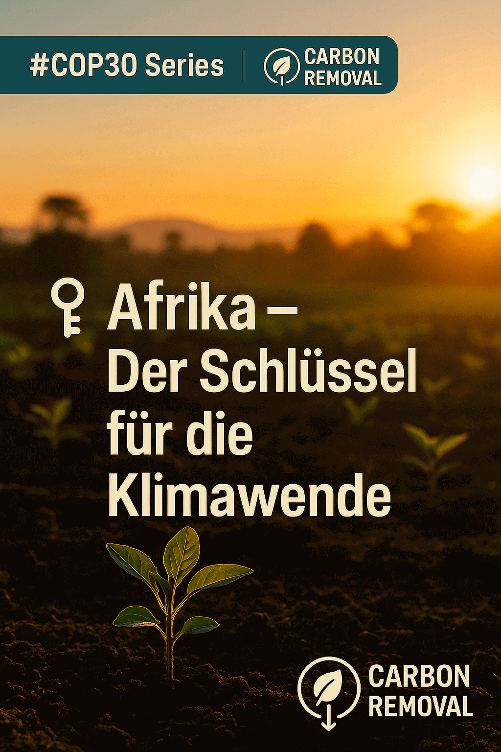 Tag 4 – COP30-Serie