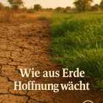 Wie aus Erde Hoffnung wächst